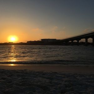 Meet your Posher, Joy